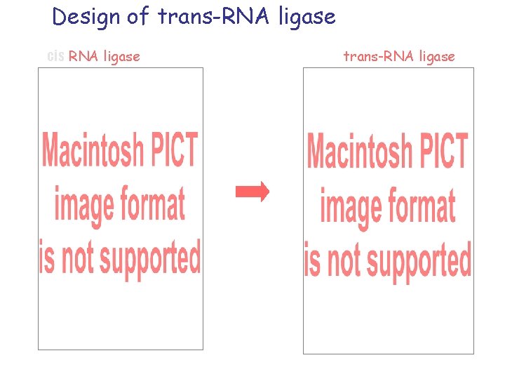 Design of trans-RNA ligase cis RNA ligase trans-RNA ligase Ikawa et al. , PNAS,