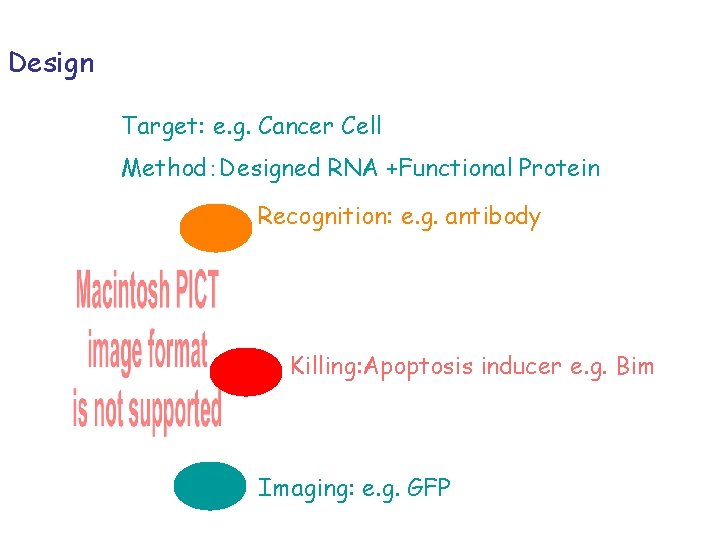 Design Target: e. g. Cancer Cell Method：Designed RNA +Functional Protein Recognition: e. g. antibody