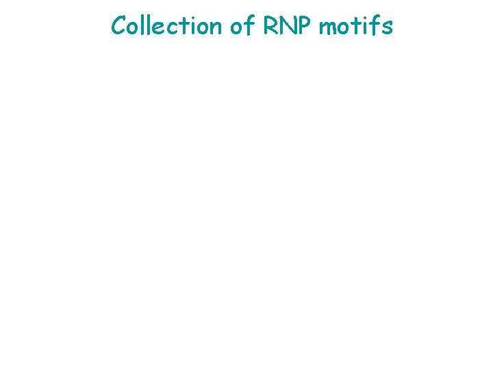 Collection of RNP motifs 