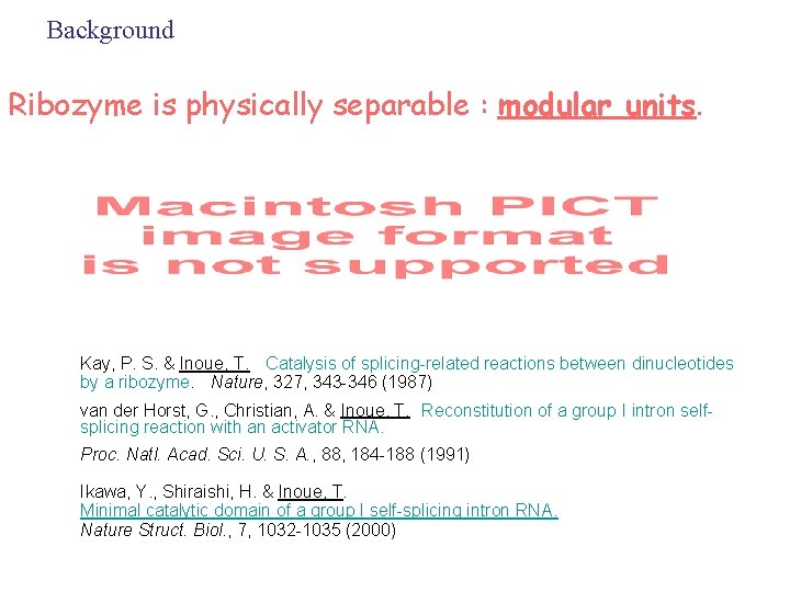 Background　 Ribozyme is physically separable : modular units. Kay, P. S. & Inoue, T.