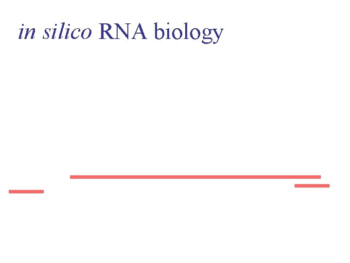 in silico RNA biology 