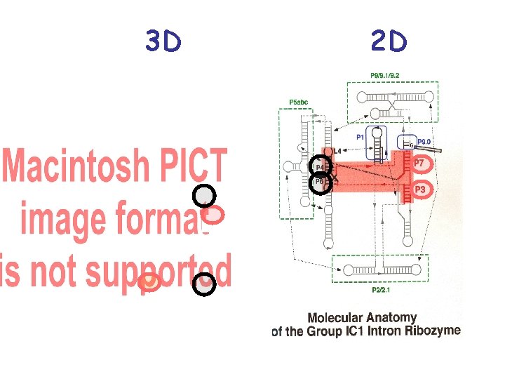 3 D 2 D 