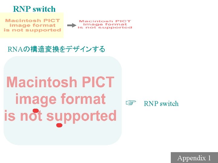 RNP switch RNAの構造変換をデザインする ☞ RNP switch Appendix 1 