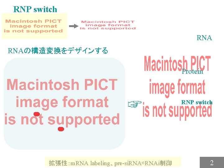 RNP switch RNAの構造変換をデザインする Protein ☞ 拡張性：m. RNA labeling、pre-si. RNA⇨RNAi制御 RNP switch 2 