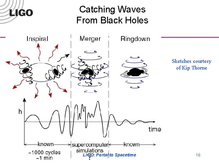 Catching Waves From Black Holes Sketches courtesy of Kip Thorne LIGO-G 030009 -00 -W