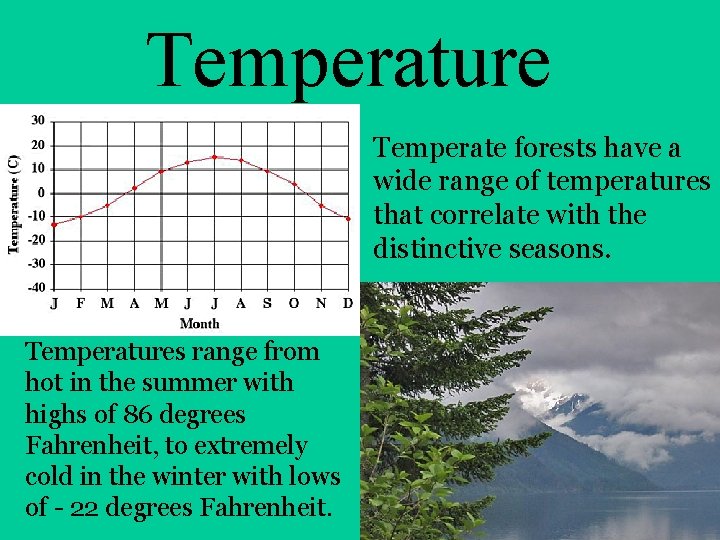 Temperature Temperate forests have a wide range of temperatures that correlate with the distinctive