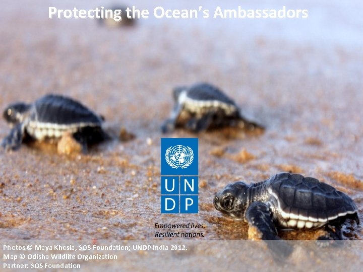Protecting the Ocean’s Ambassadors Photos © Maya Khosla, SOS Foundation; UNDP India 2012. Map