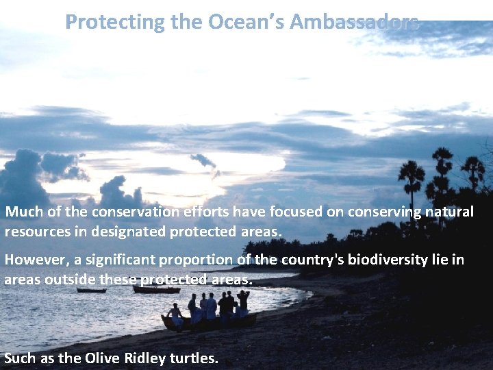 Protecting the Ocean’s Ambassadors Much of the conservation efforts have focused on conserving natural