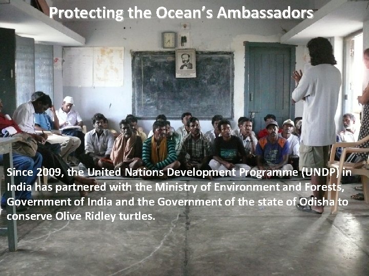 Protecting the Ocean’s Ambassadors Since 2009, the United Development Programme ASHIS: Nations DO YOU