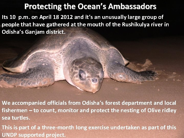 Protecting the Ocean’s Ambassadors Its 10 p. m. on April 18 2012 and it’s