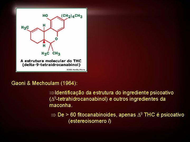 Gaoni & Mechoulam (1964): Identificação da estrutura do ingrediente psicoativo ( 9 -tetrahidrocanoabinol) e