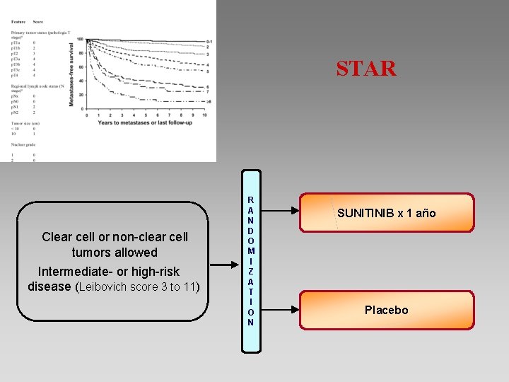 STAR Clear cell or non-clear cell tumors allowed Intermediate- or high-risk disease (Leibovich score