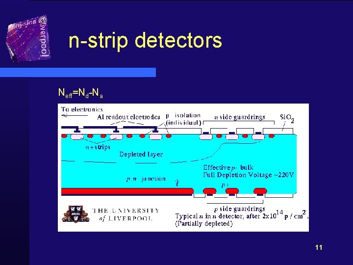 n-strip detectors Neff=Nd-Na 11 