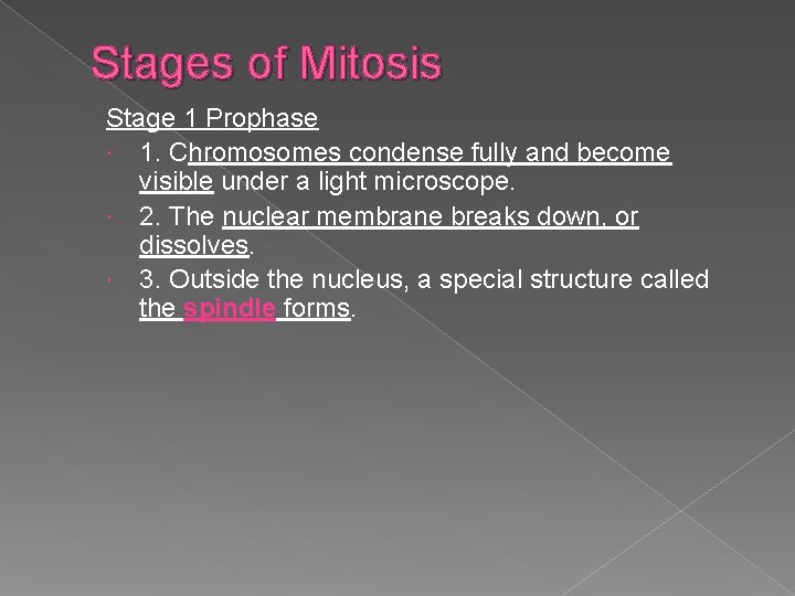 Stages of Mitosis Stage 1 Prophase 1. Chromosomes condense fully and become visible under