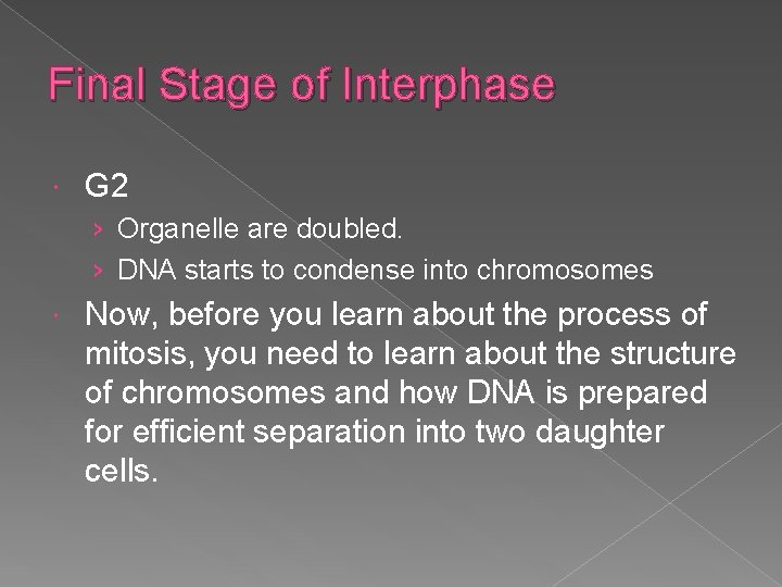 Final Stage of Interphase G 2 › Organelle are doubled. › DNA starts to