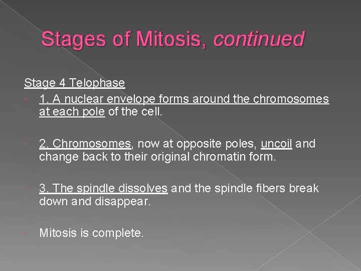 Stages of Mitosis, continued Stage 4 Telophase 1. A nuclear envelope forms around the