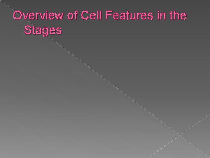 Overview of Cell Features in the Stages 