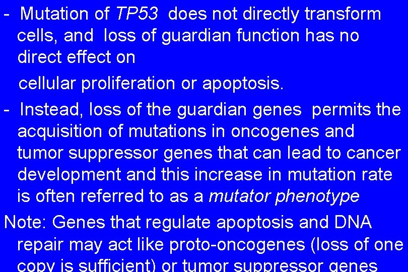 - Mutation of TP 53 does not directly transform cells, and loss of guardian