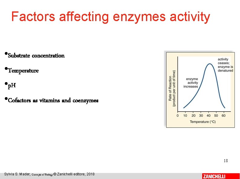 Factors affecting enzymes activity • Substrate concentration • Temperature • p. H • Cofactors