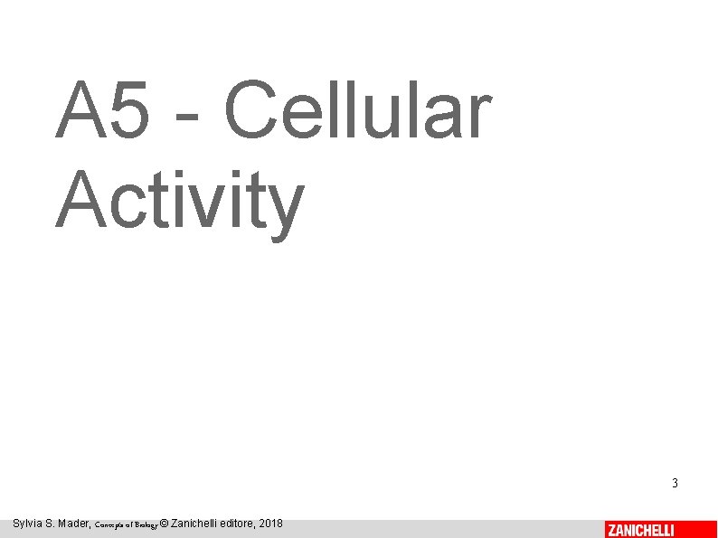 A 5 - Cellular Activity 3 Sylvia S. Mader, Concepts of Biology © Zanichelli