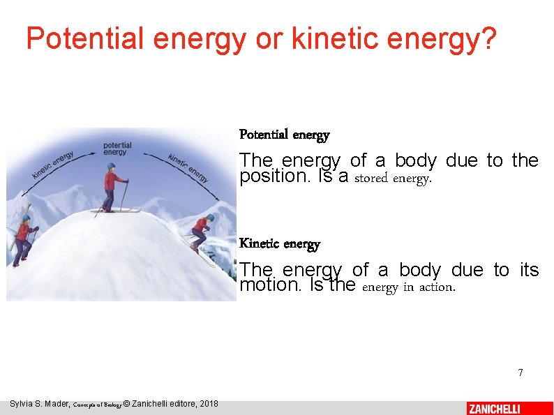 Potential energy or kinetic energy? Potential energy The energy of a body due to