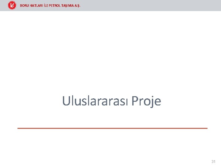 BORU HATLARI İLE PETROL TAŞIMA A. Ş. Uluslararası Proje 31 