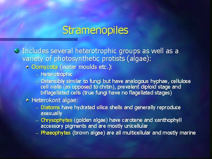 Stramenopiles Includes several heterotrophic groups as well as a variety of photosynthetic protists (algae):