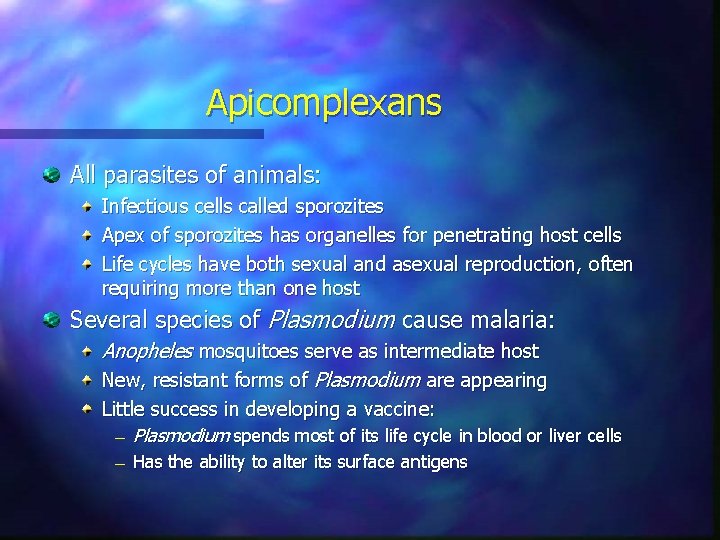 Apicomplexans All parasites of animals: Infectious cells called sporozites Apex of sporozites has organelles