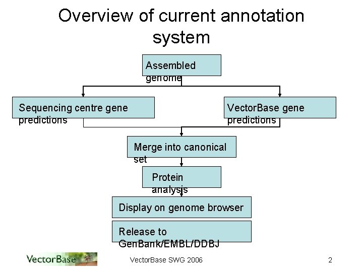 Overview of current annotation system Assembled genome Sequencing centre gene predictions Vector. Base gene