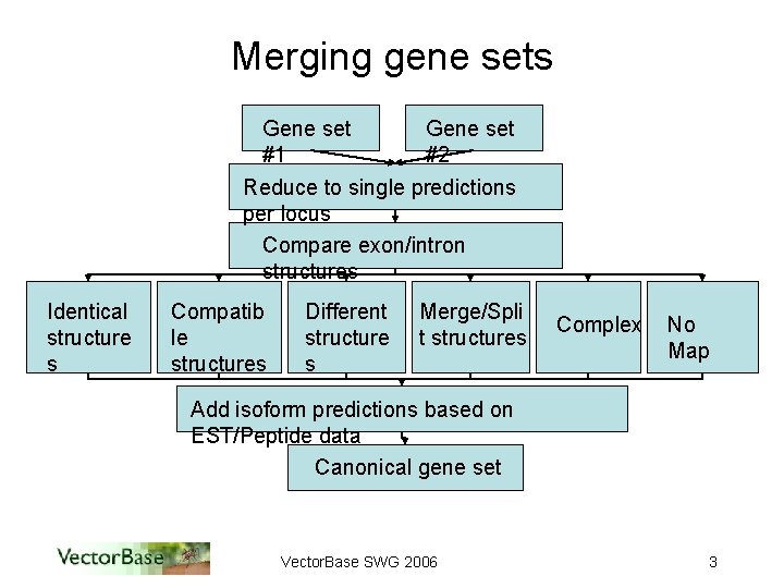 Merging gene sets Gene set #1 Gene set #2 Reduce to single predictions per