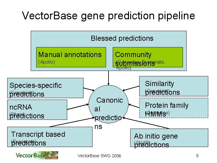 Vector. Base gene prediction pipeline Blessed predictions Manual annotations (Apollo) Community (Genewise, Exonerate, submissions