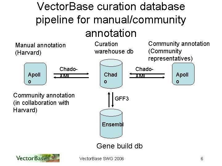 Vector. Base curation database pipeline for manual/community annotation Manual annotation (Harvard) Apoll o Chado.