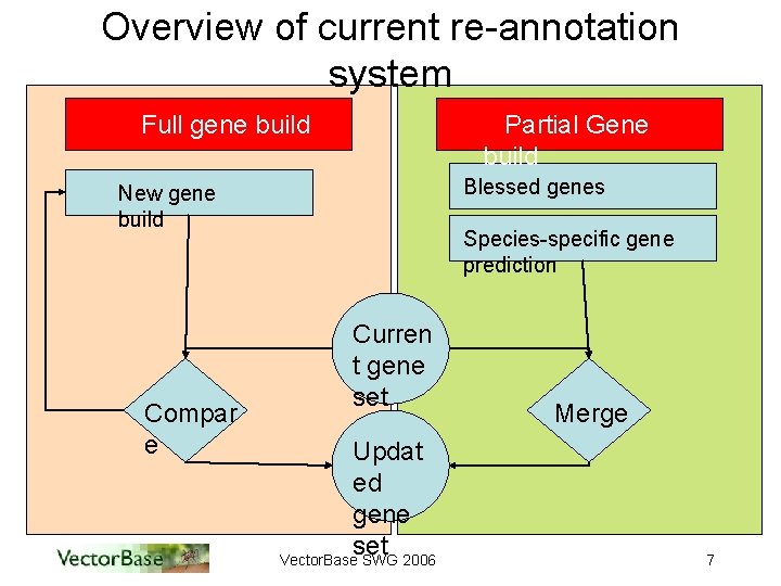 Overview of current re-annotation system Full gene build Partial Gene build Blessed genes New