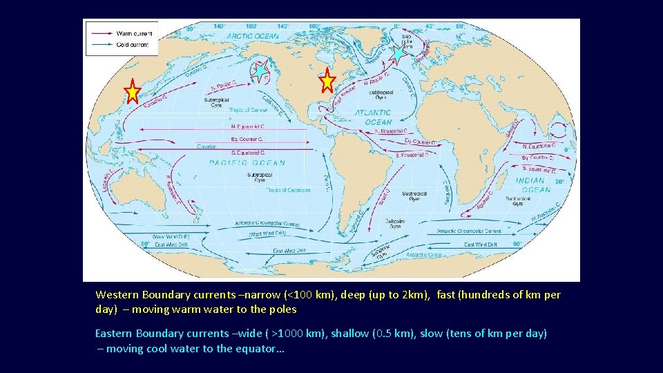 Western Boundary currents –narrow (<100 km), deep (up to 2 km), fast (hundreds of Western Boundary currents –narrow (<100 km), deep (up to 2 km), fast (hundreds of