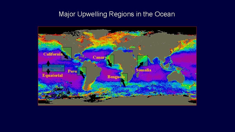 Major Upwelling Regions in the Ocean California Equatorial Canary Somalia Peru Benguela 