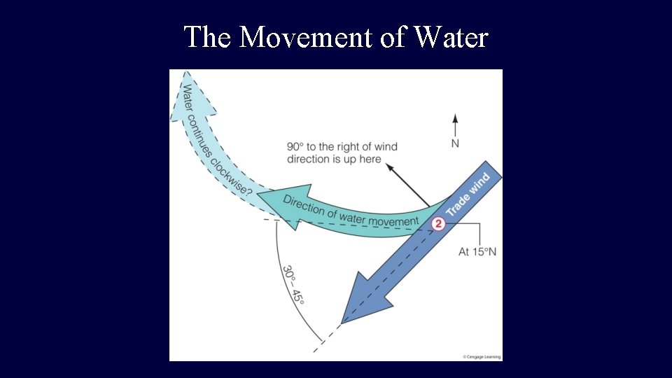 The Movement of Water  The Movement of Water