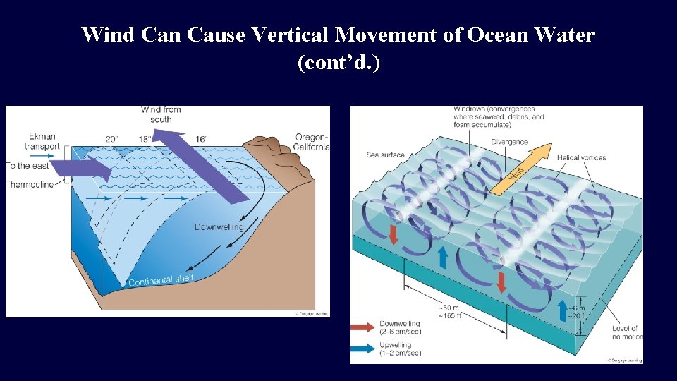 Wind Can Cause Vertical Movement of Ocean Water (cont’d. )  Wind Can Cause Vertical Movement of Ocean Water (cont’d. )