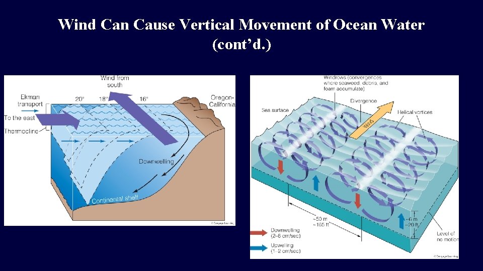 Wind Can Cause Vertical Movement of Ocean Water (cont’d. ) 