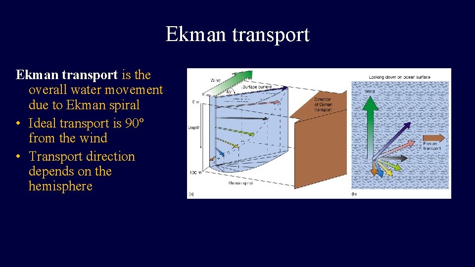 Ekman transport is the overall water movement due to Ekman spiral • Ideal transport