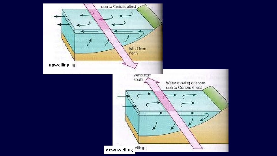 upwelling downwelling  upwelling downwelling