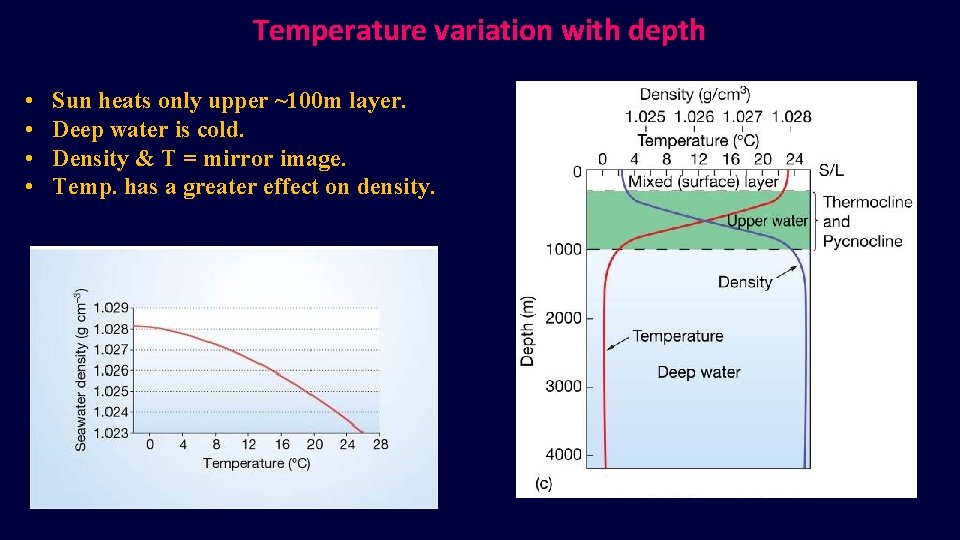 Temperature variation with depth • • Sun heats only upper ~100 m layer. Deep