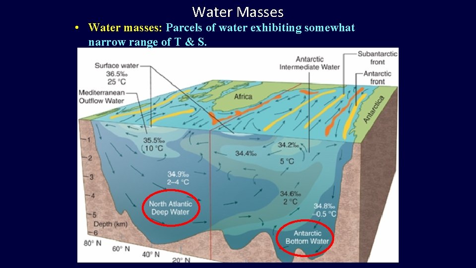 Water Masses • Water masses: Parcels of water exhibiting somewhat narrow range of T