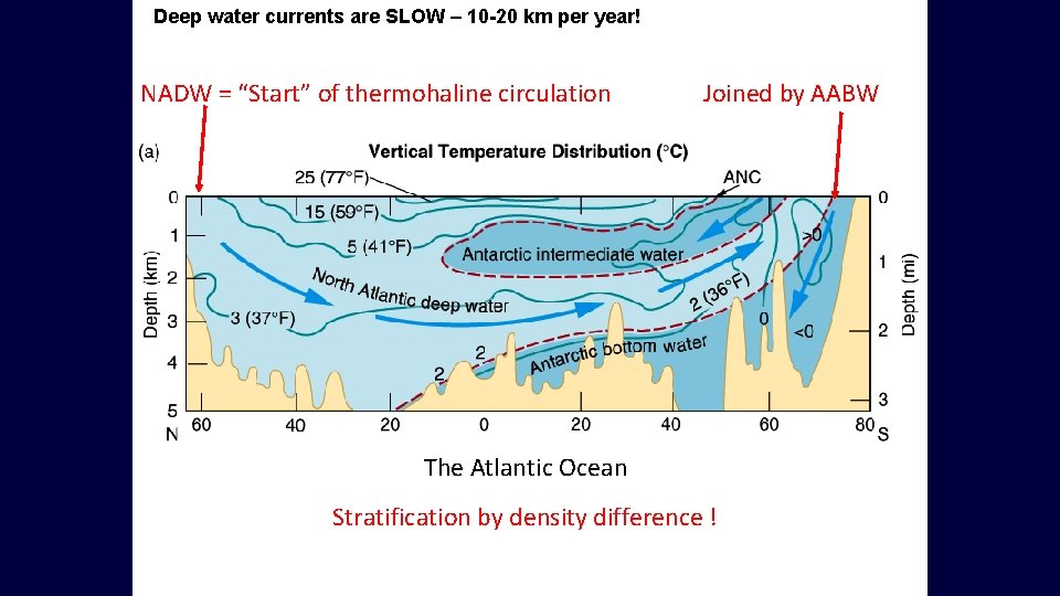 Deep water currents are SLOW – 10 -20 km per year! NADW = “Start”