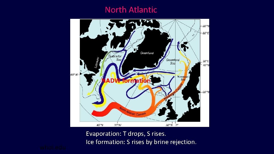 North Atlantic NADW formation whoi. edu Evaporation: T drops, S rises. Ice formation: S North Atlantic NADW formation whoi. edu Evaporation: T drops, S rises. Ice formation: S