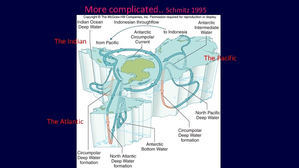 More complicated. . Schmitz 1995 The Indian The Pacific The Atlantic  More complicated. . Schmitz 1995 The Indian The Pacific The Atlantic