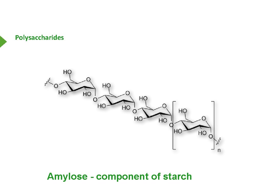 Polysaccharides Amylose - component of starch 
