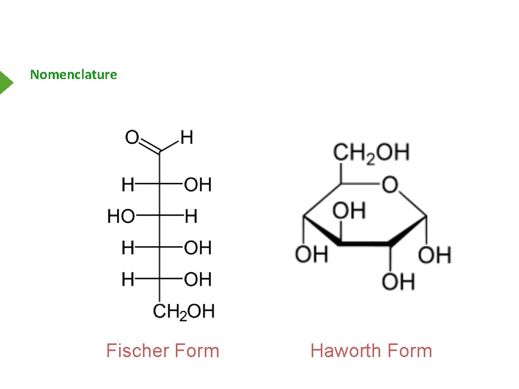 Nomenclature Fischer Form Haworth Form 