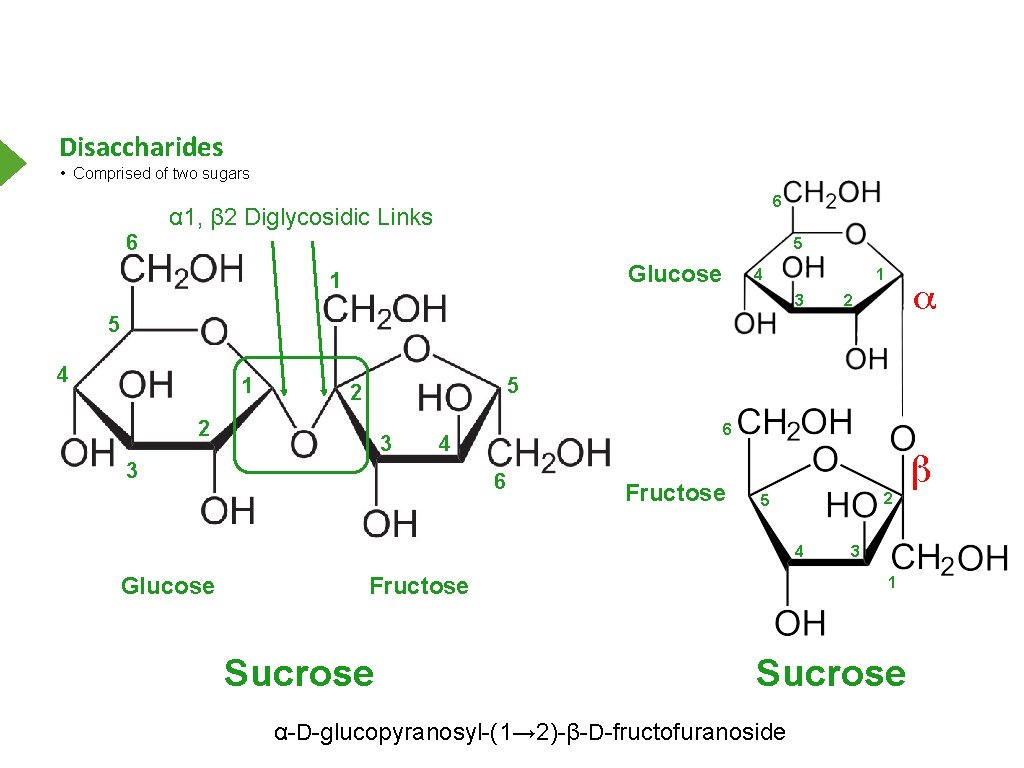 Disaccharides • Comprised of two sugars 6 α 1, β 2 Diglycosidic Links 6