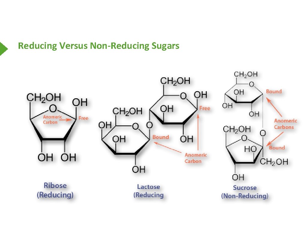 Reducing Versus Non-Reducing Sugars 