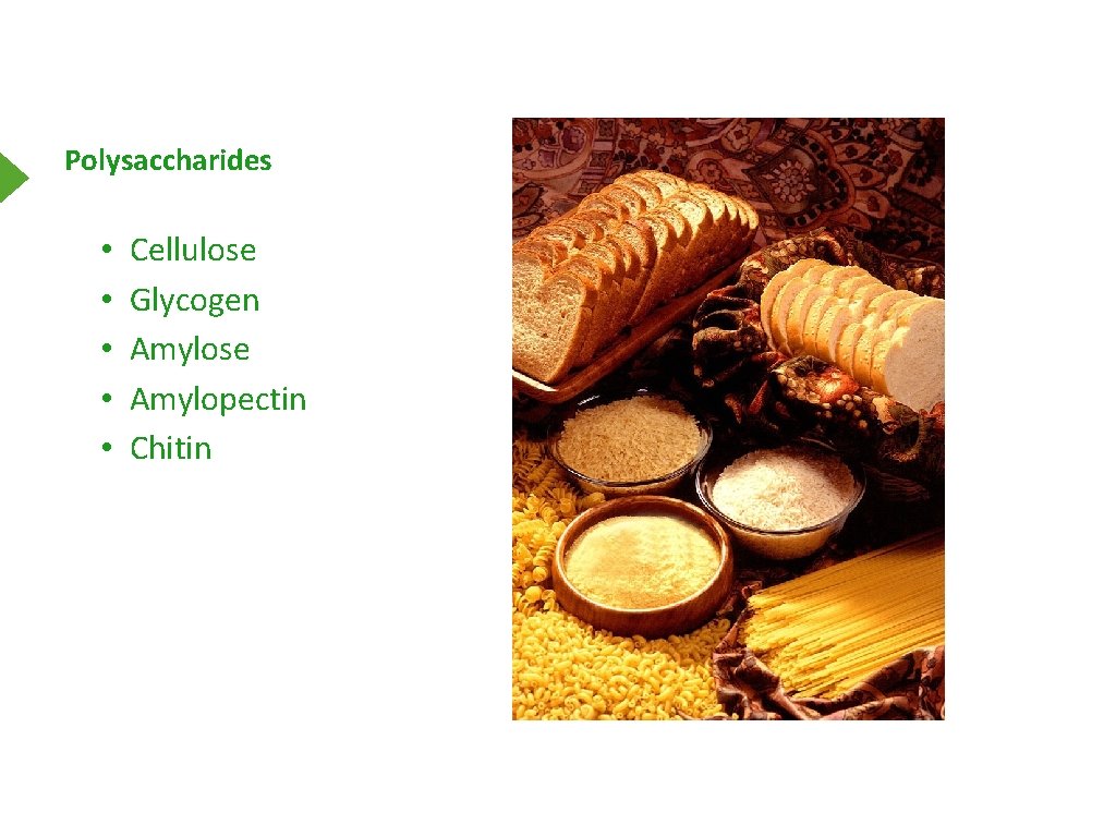 Polysaccharides • • • Cellulose Glycogen Amylose Amylopectin Chitin 